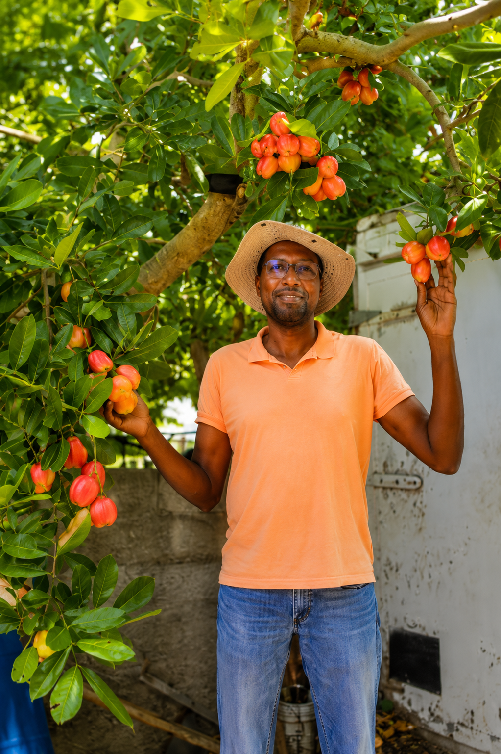 Locally Grown Fresh Ackee
